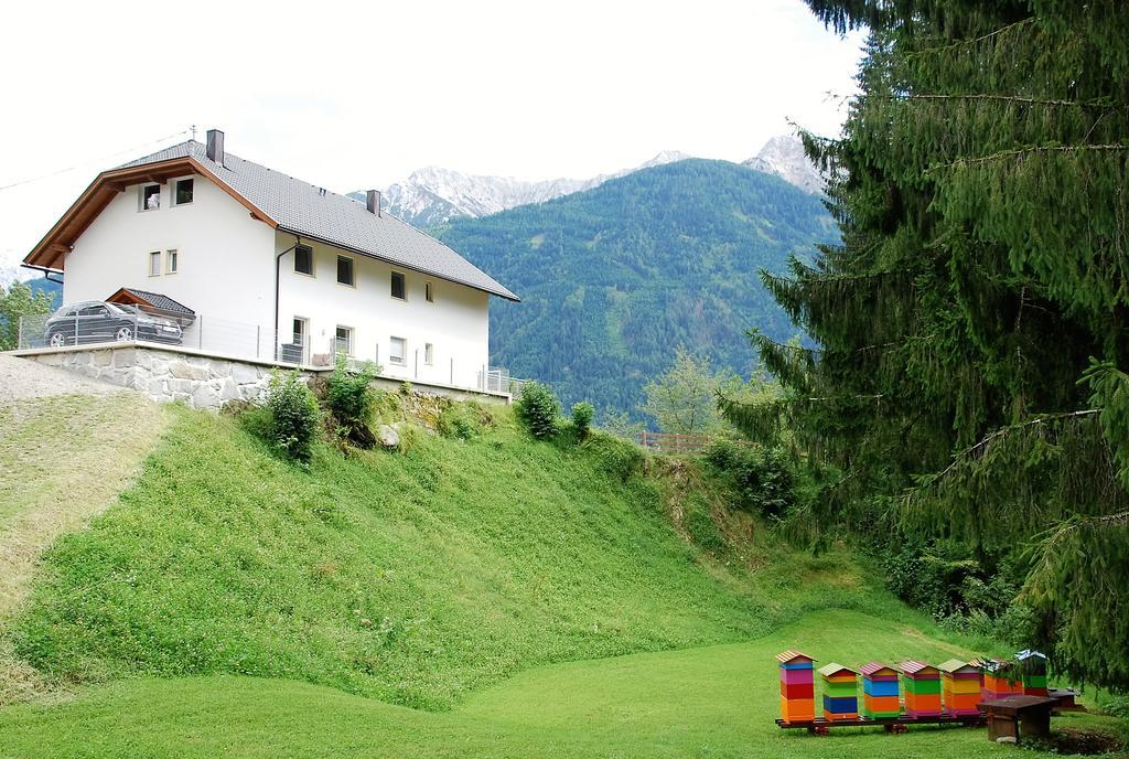 Dellach im DrautalHaus Pflaumアパートメント エクステリア 写真