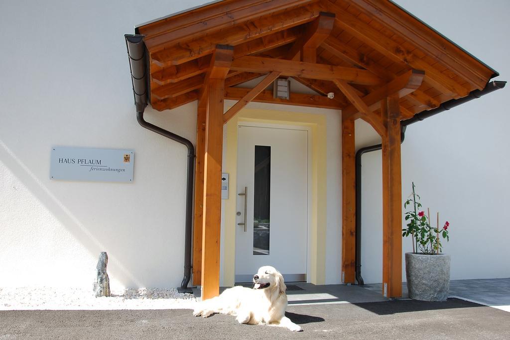 Dellach im DrautalHaus Pflaumアパートメント エクステリア 写真